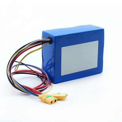 SGS 13s 48v 24Ah 21700 Li-Polymer-Batteriepack BIS MSDS IEC62133 Rohs